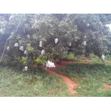 Saco de tecido não tecido com capa de manga de polipropileno spundbond